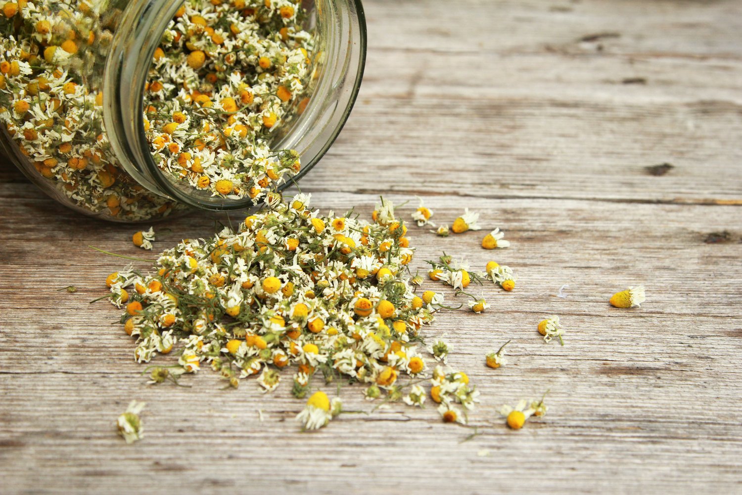 CHAMOMILE HERBAL TEA WITH HIBISCUS